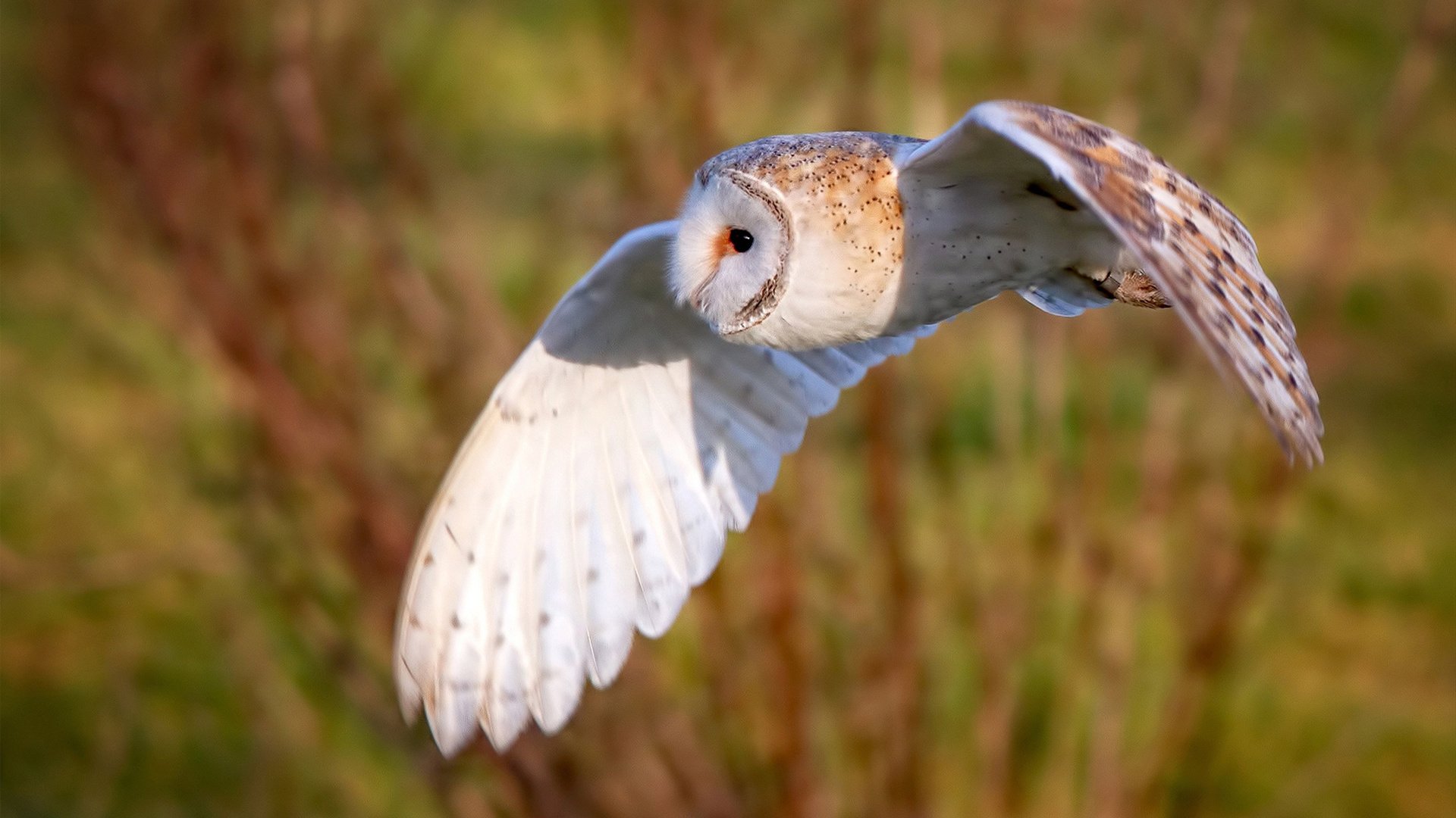 开云平台-欧冠半决赛之夜，利拉德全场最佳无争议