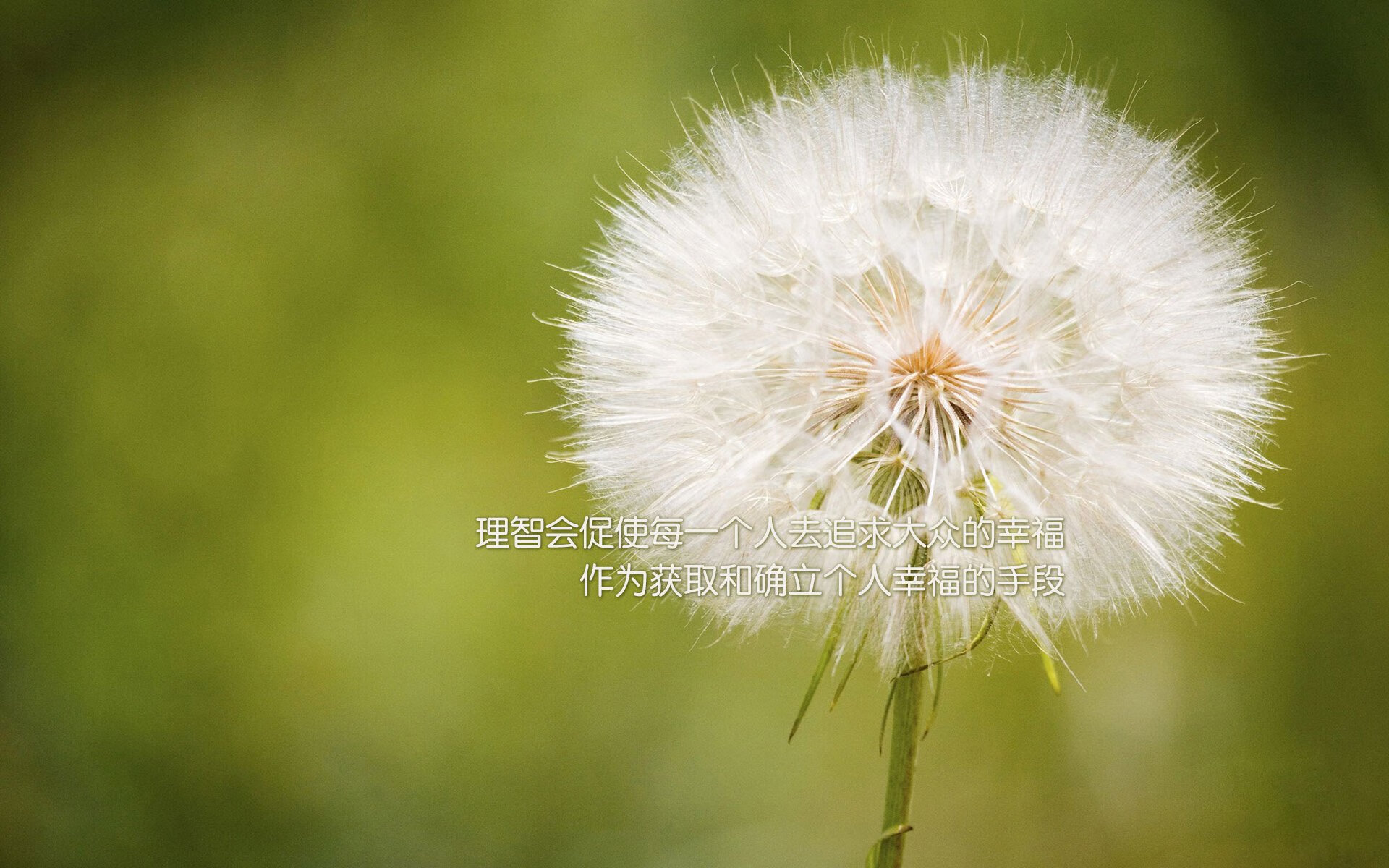 范弗利特单节狂飙主宰比赛,活塞凭借爆发性攻势一举拉开奇才