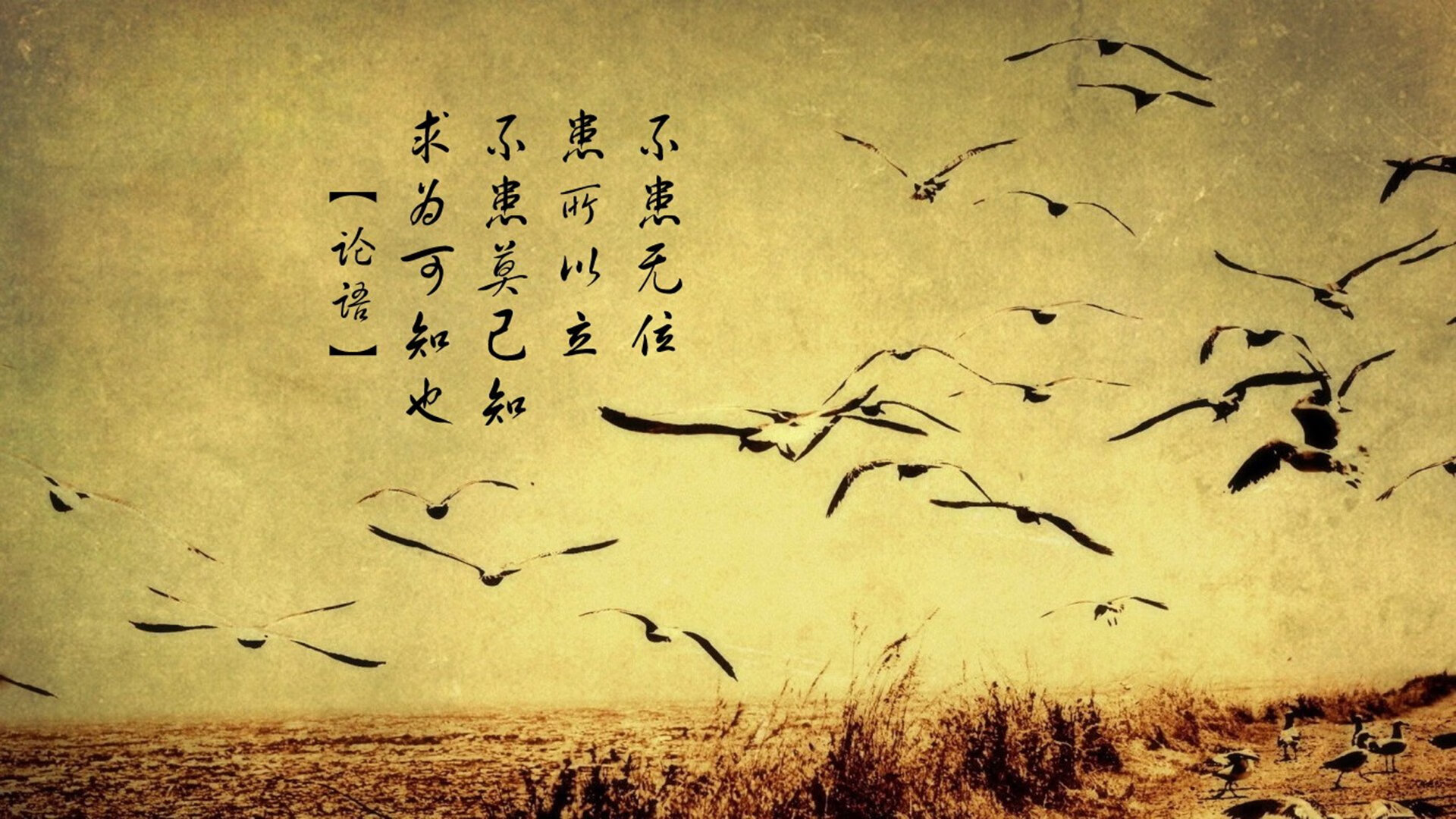 开云体育官方网站-意甲星光与哈登的凌晨证明，巨星价值，从不是一场比赛