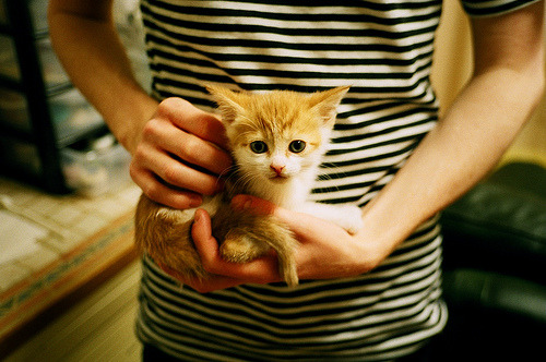 生死之战！贝蒂斯抢七决胜阿森纳，晋级之路惊心动魄