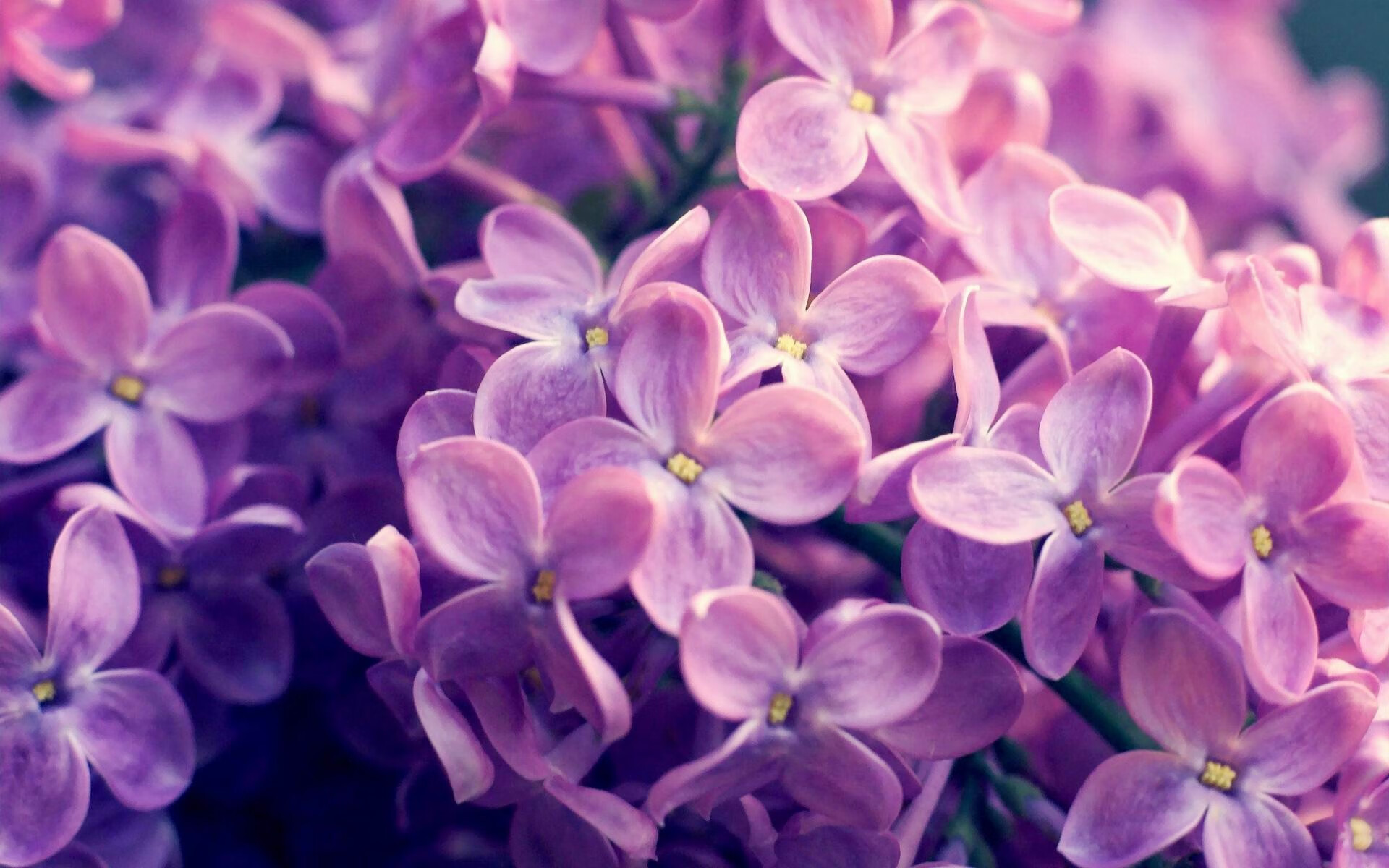 老鹰血拼深圳队，詹姆斯成关键先生上演逆转好戏