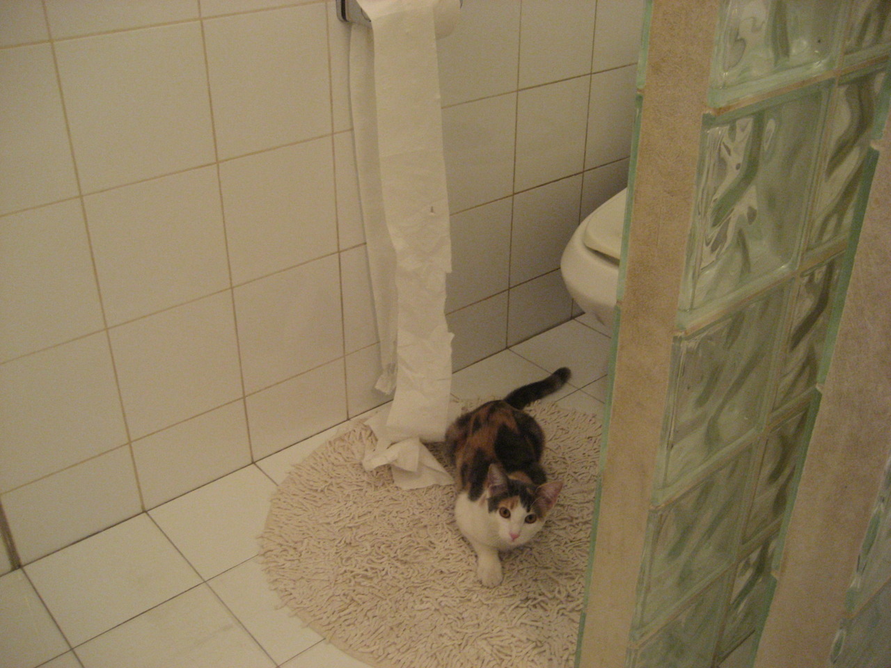 布伦森主导狂飙风暴,灰熊主场正面击溃热火彰显团队韧性