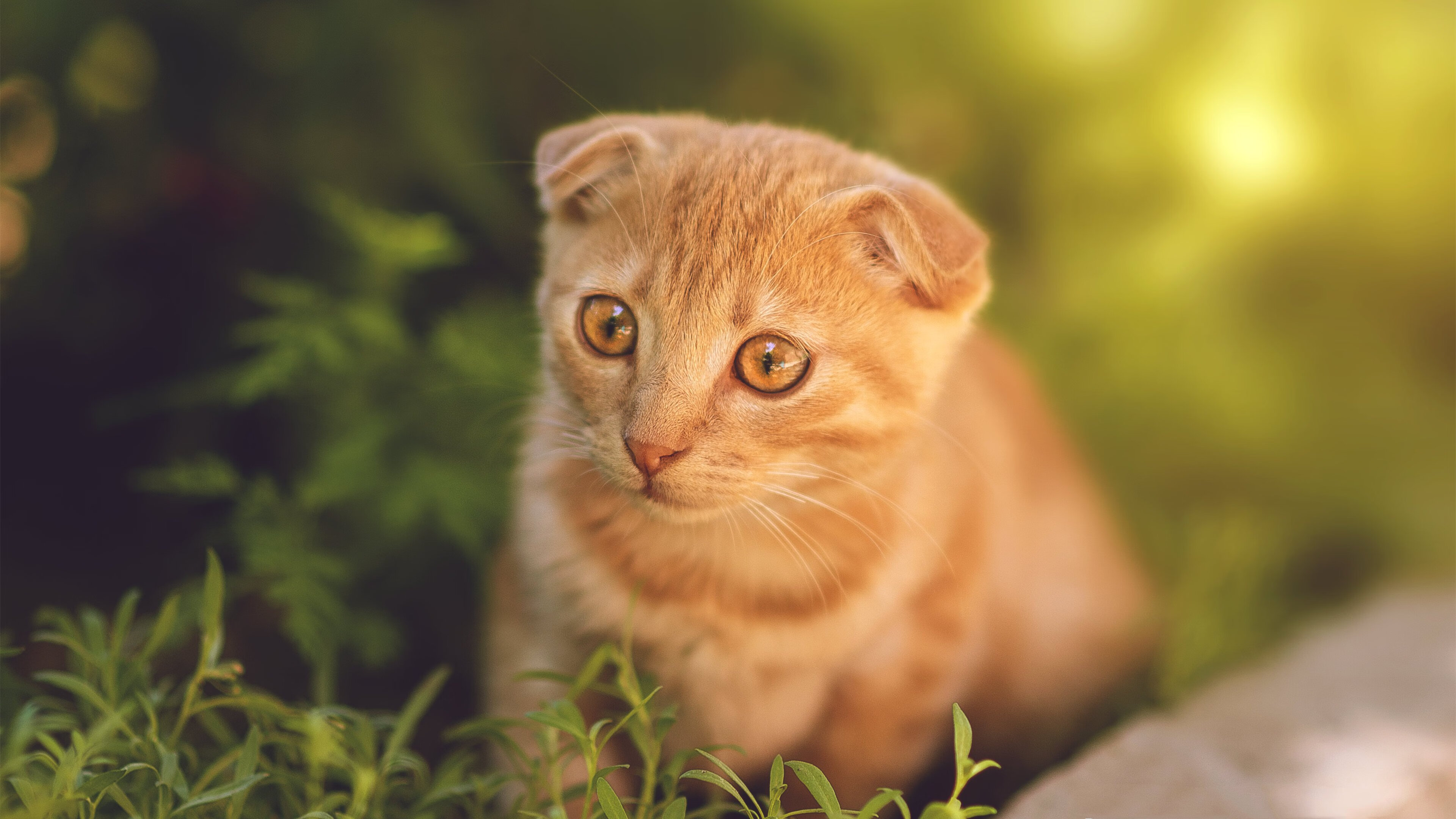 开云下载-欧冠半决赛之夜，拉梅洛用沉默的绞杀，谱写了防守的史诗
