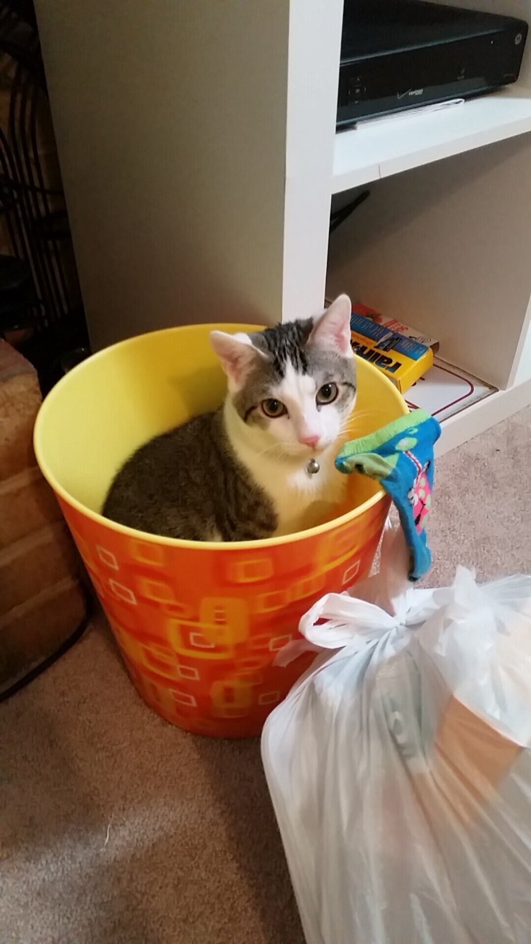 奥利维耶爆发助瑞典争冠战力克丹麦,北欧德比演绎绿茵传奇