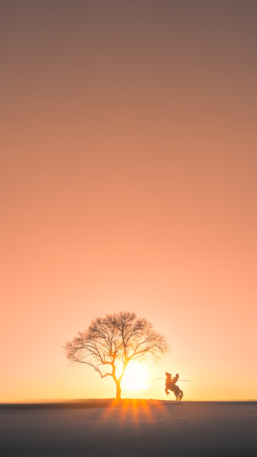 开云体育APP下载-哈利伯顿统治全场,世界排名争夺战的巅峰之夜