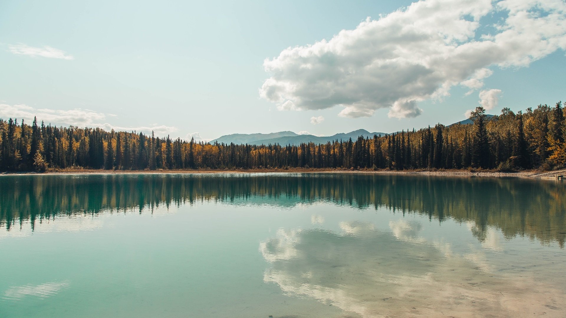 当金元足球遇上石油王国，阿什拉夫如何用一脚弧线划出新秩序