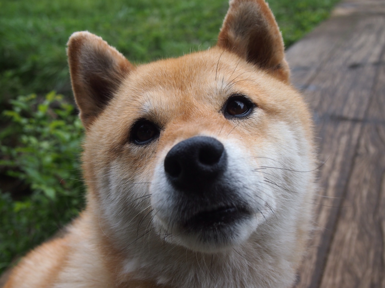 开云APP-世界排名争夺战之夜,当本泽马化身叹息之墙