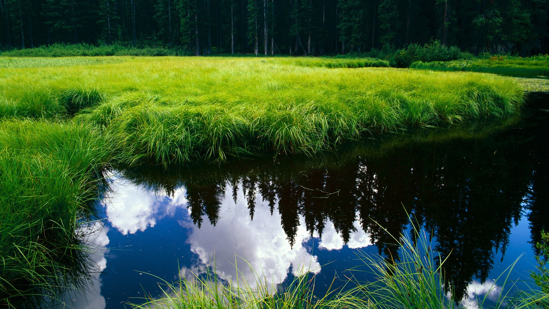 库里36+15统治禁区，广厦主场大胜广东取关键战