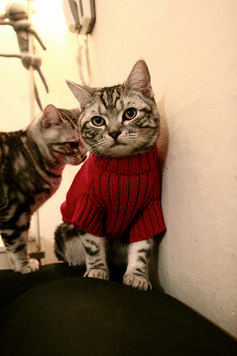 开云体育在线-当欧冠绝杀点燃夜空,利拉德在另一个赛场冷静‘拆表’